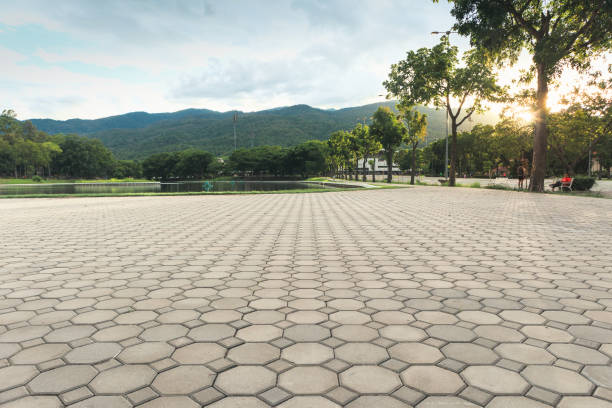 Best Paver Driveway Replacement  in Edmond, OK